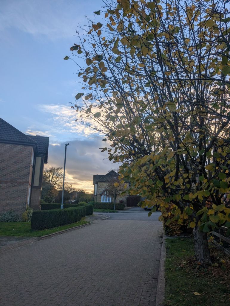 pxl_20251102_1531340921982351992002112206