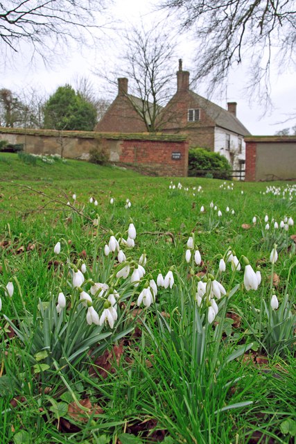 Snow drops en Inglaterra